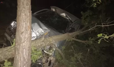 Alanya’da muhtar kaza yaptı