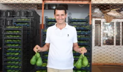 Hilmi Sevilgen’den avokado hırsızlarına son uyarı