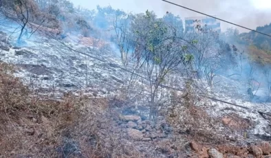 Alanya’da çalılık alanda yangın çıktı!