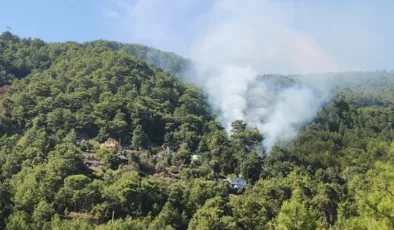 Alanya’da çıkan orman yangını kontrol altına alındı