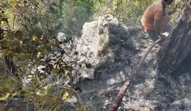 Alanya’da ormanlık alanda yangın çıktı