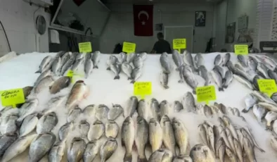 Alanya’da tezgahlar keyif kaçırdı