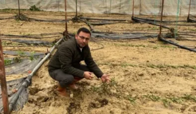 Alanya’da sağanak yağış 14 dönüm ekili alana zarar verdi