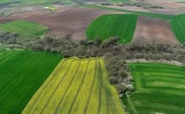 Arsa ve tarlalara ilgi arttı: Yatırımda en çok talep gören yerler