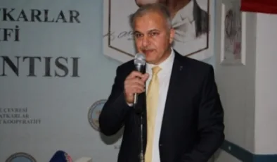 Saldırılar artıyor, güvende değiller: Alanya artık yeter dedi!