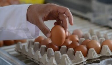 Tavuk eti ve yumurta üretimi martta arttı