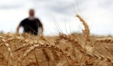 2024 hububat alım fiyatları belli oldu