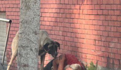 Alanya’da alkollü şahıslar kaldırımda sızdı