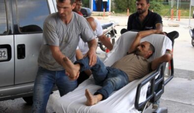 Alanya’da acemi kasaplar hastanelik oldu