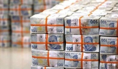 Hazine nakit dengesi haziranda 431 milyar TL açık verdi