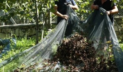 Ordu’da fındıkta işçi yevmiyesi ve diğer ücretler açıklandı