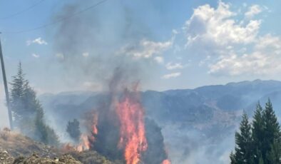 Alanya’da makilik alanda çıkan yangın söndürüldü
