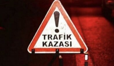 Alanya’da köpek paniği kazaya neden oldu: 3 yaralı